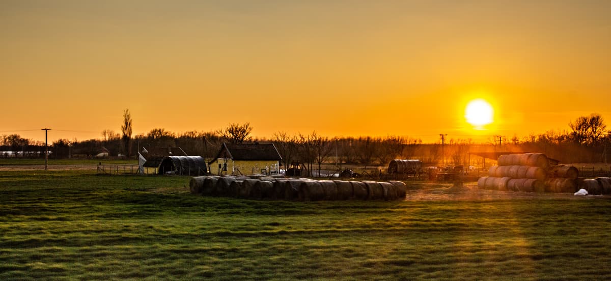 Auf dem Weg nach Griechenland - Schöne ungarische Landschaft im Abendlicht