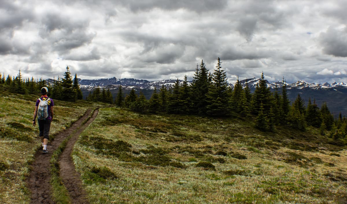 Kanada - Der Westen - Berge