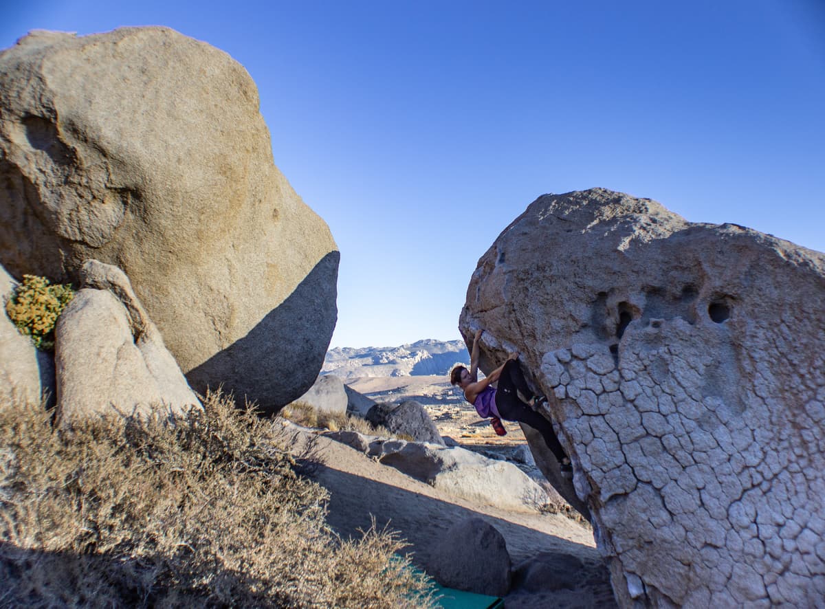 hero roof - buttermilks