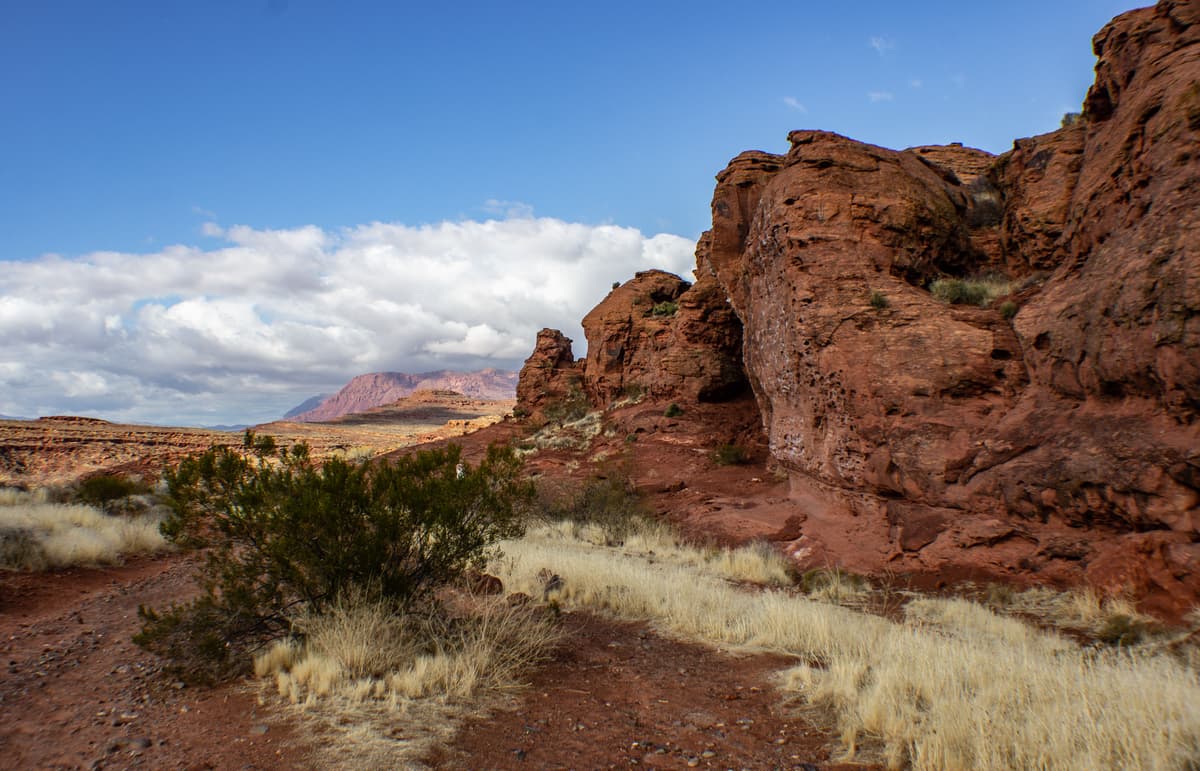 Klettertrip USA: Chuckawalla Wall, St George, Utah