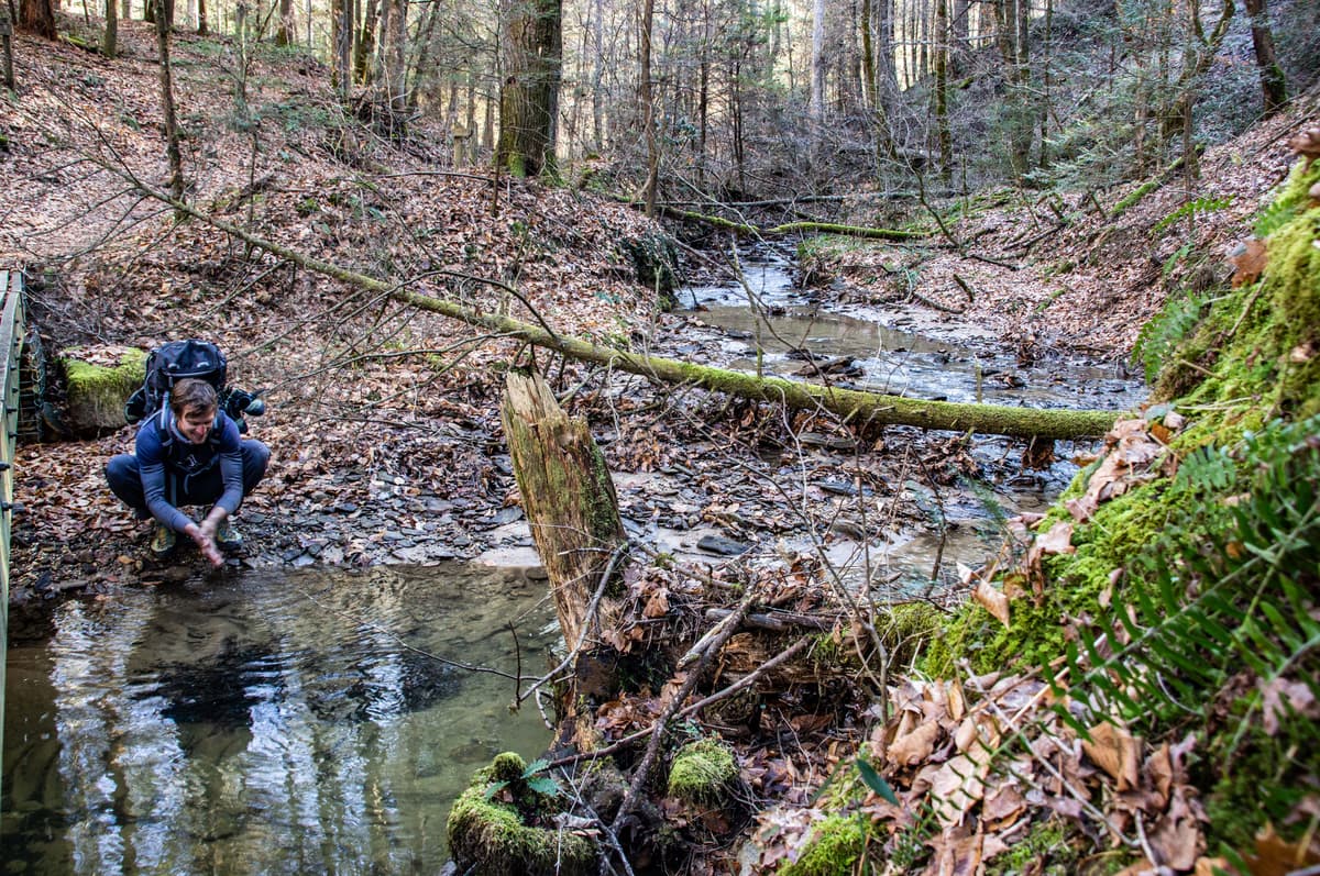 Schöne Natur, aber kein roter Fluss, in der Red River Gorge