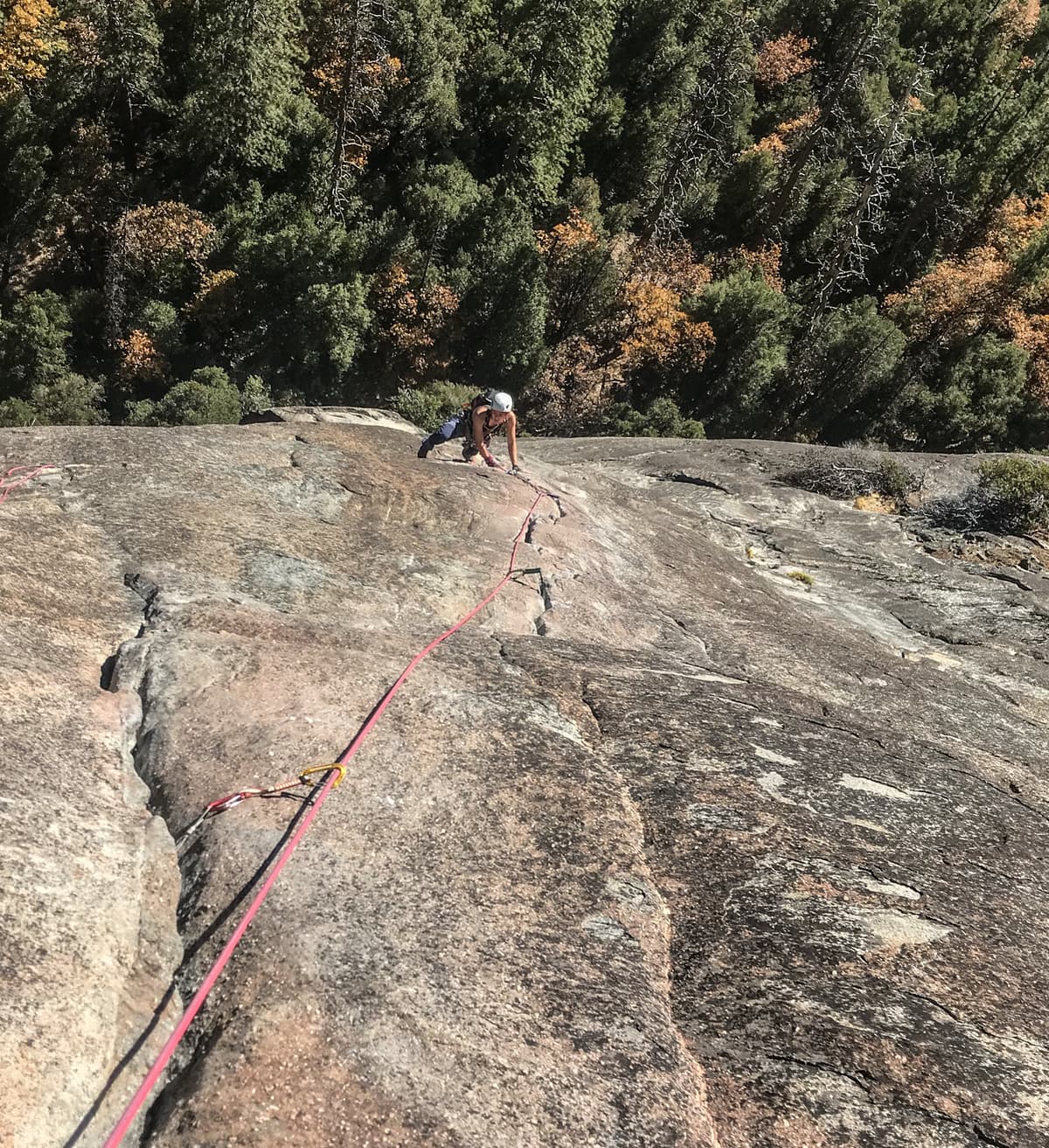Nutcracker, Yosemite