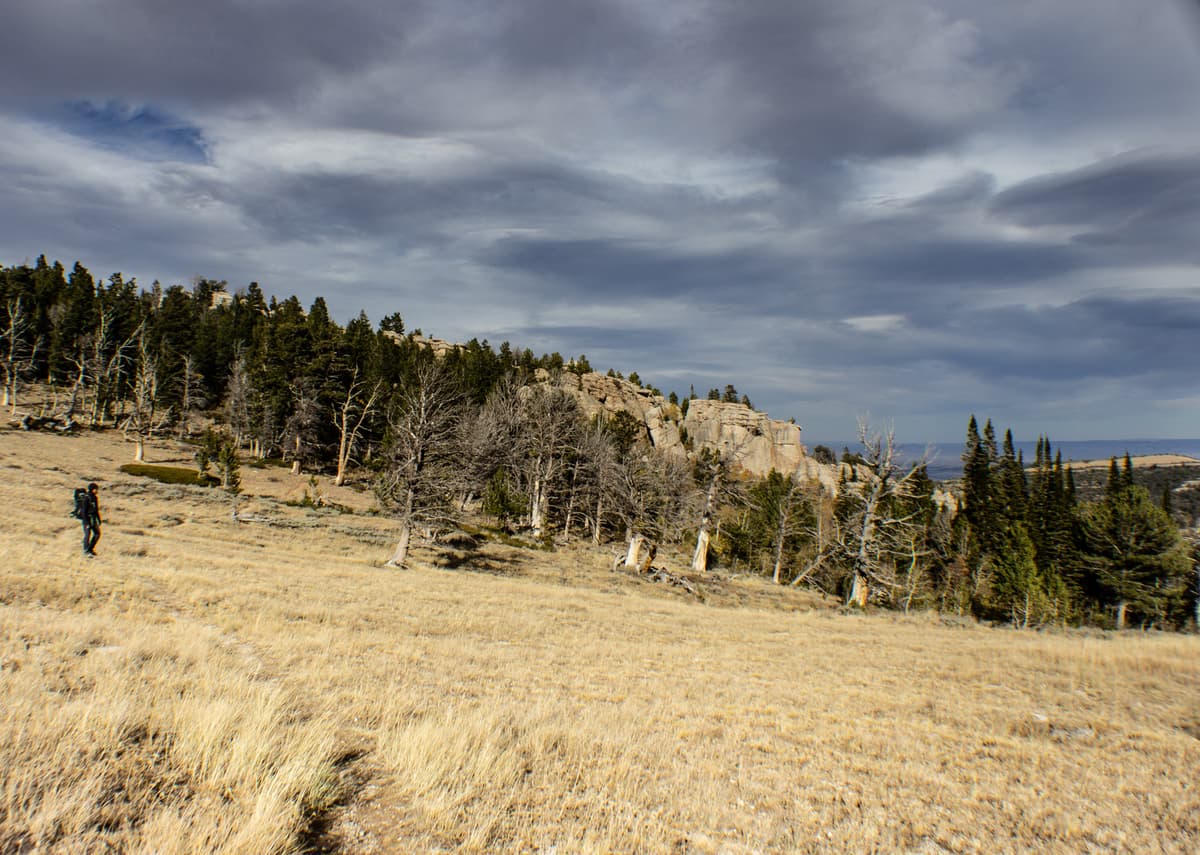 Klettern in Lander, Wyoming - Wild Iris