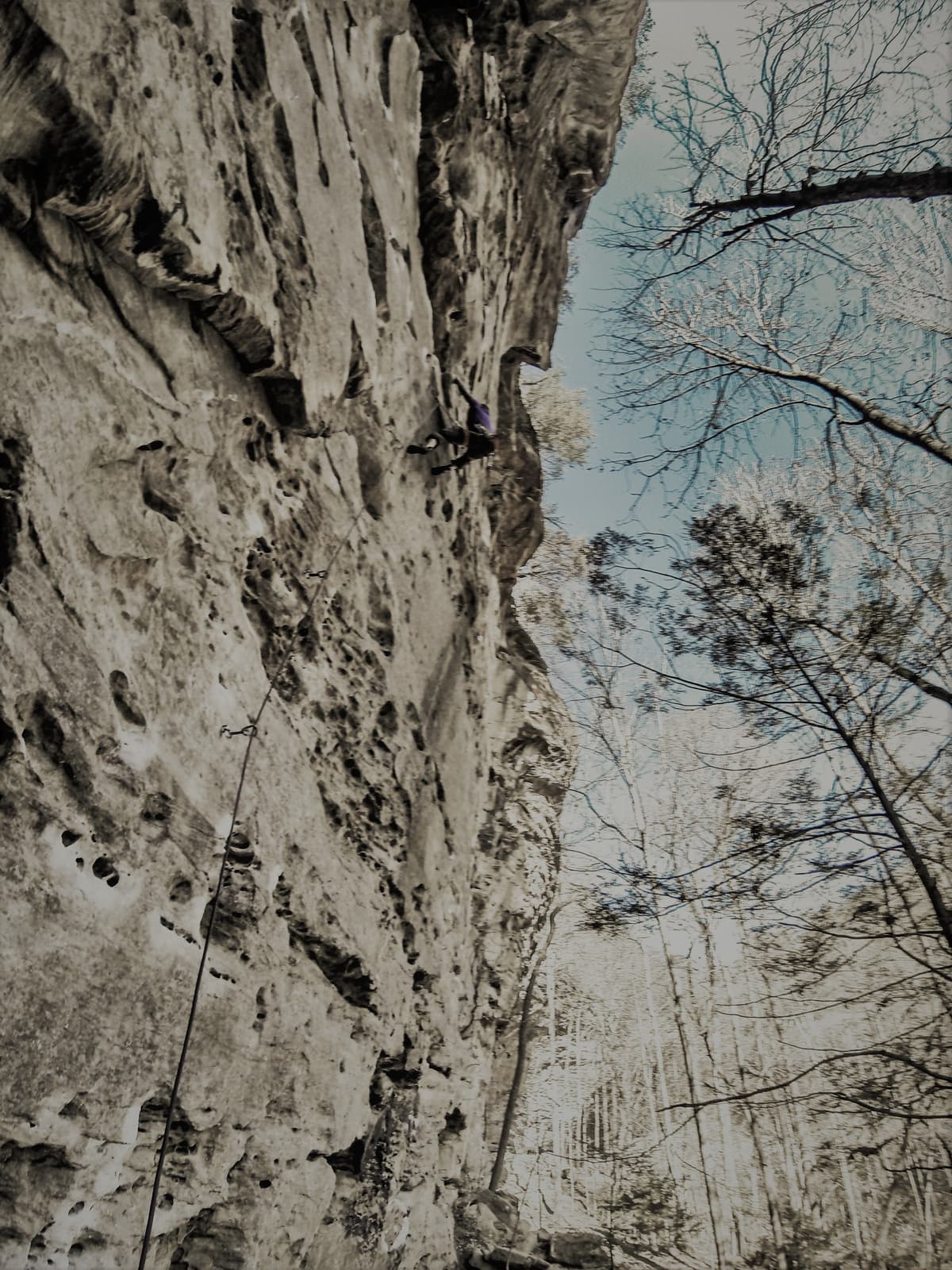 Klettern in der Red River Gorge im Osten der USA